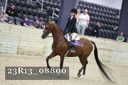 23R13_08800 thumbnail