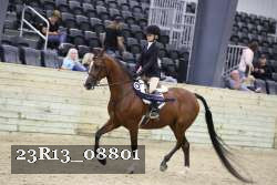 23R13_08801 thumbnail