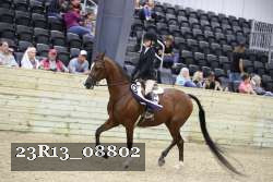 23R13_08802 thumbnail
