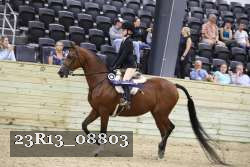 23R13_08803 thumbnail
