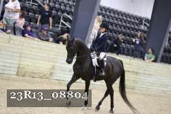 23R13_08804 thumbnail