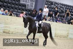 23R13_08805 thumbnail