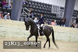 23R13_08807 thumbnail