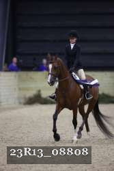 23R13_08808 thumbnail
