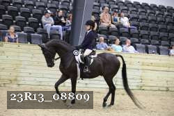 23R13_08809 thumbnail