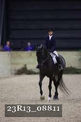 23R13_08811 thumbnail