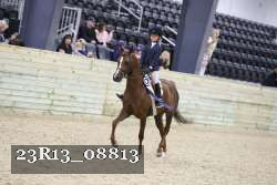 23R13_08813 thumbnail