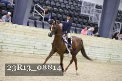 23R13_08814 thumbnail