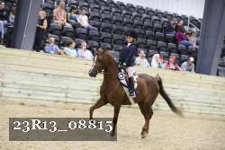 23R13_08815 thumbnail
