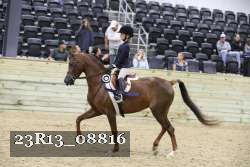 23R13_08816 thumbnail