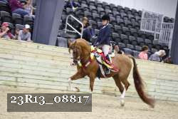 23R13_08817 thumbnail