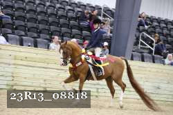 23R13_08818 thumbnail