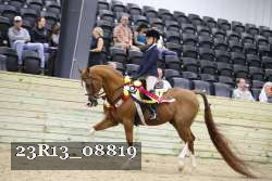 23R13_08819 thumbnail