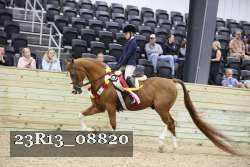 23R13_08820 thumbnail