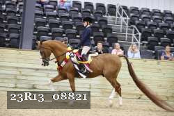 23R13_08821 thumbnail
