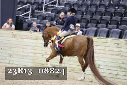 23R13_08824 thumbnail