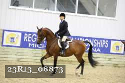 23R13_08873 thumbnail