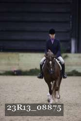 23R13_08875 thumbnail