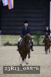 23R13_08876 thumbnail