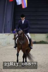 23R13_08877 thumbnail