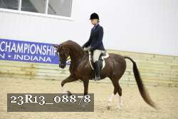 23R13_08878 thumbnail