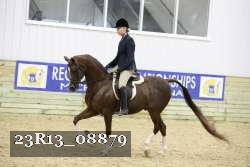 23R13_08879 thumbnail