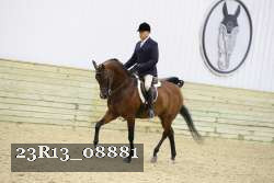 23R13_08881 thumbnail