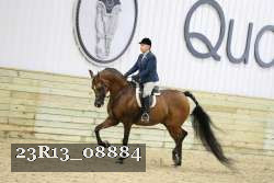 23R13_08884 thumbnail