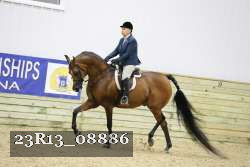 23R13_08886 thumbnail