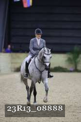 23R13_08888 thumbnail