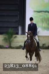 23R13_08891 thumbnail