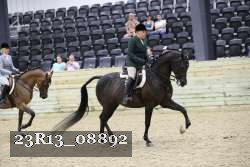 23R13_08892 thumbnail