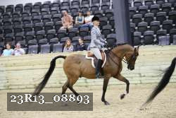 23R13_08893 thumbnail