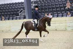 23R13_08894 thumbnail
