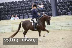 23R13_08895 thumbnail