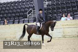 23R13_08896 thumbnail
