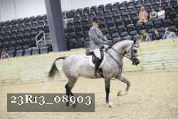 23R13_08903 thumbnail