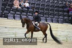 23R13_08921 thumbnail