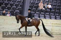 23R13_08922 thumbnail