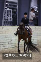 23R13_08924 thumbnail