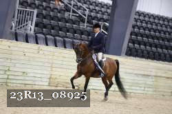 23R13_08925 thumbnail