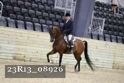 23R13_08926 thumbnail