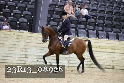 23R13_08928 thumbnail