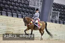 23R13_08929 thumbnail