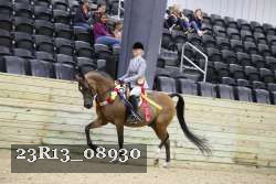 23R13_08930 thumbnail