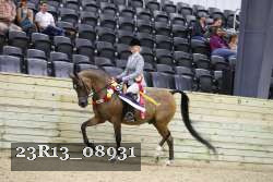 23R13_08931 thumbnail