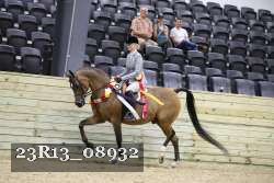 23R13_08932 thumbnail