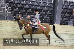 23R13_08934 thumbnail