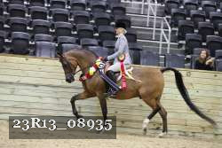 23R13_08935 thumbnail