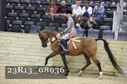 23R13_08936 thumbnail
